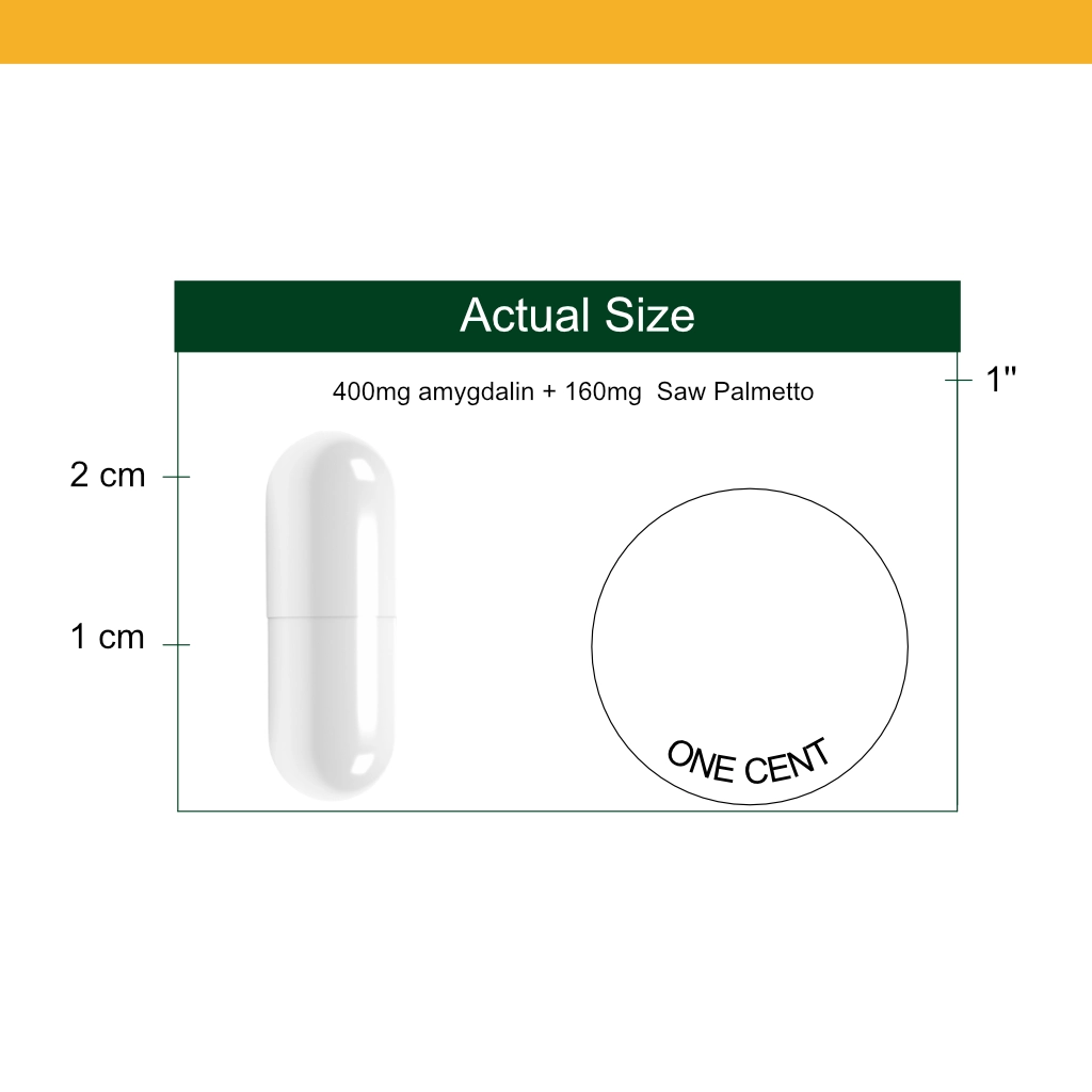 B17 + Saw Palmetto capsule size reference
