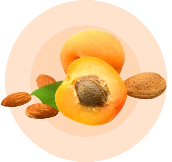Sliced apricot with seed