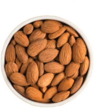 Apricot kernels