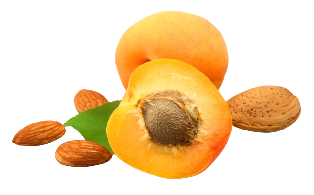 Novodalin apricot seed extract products