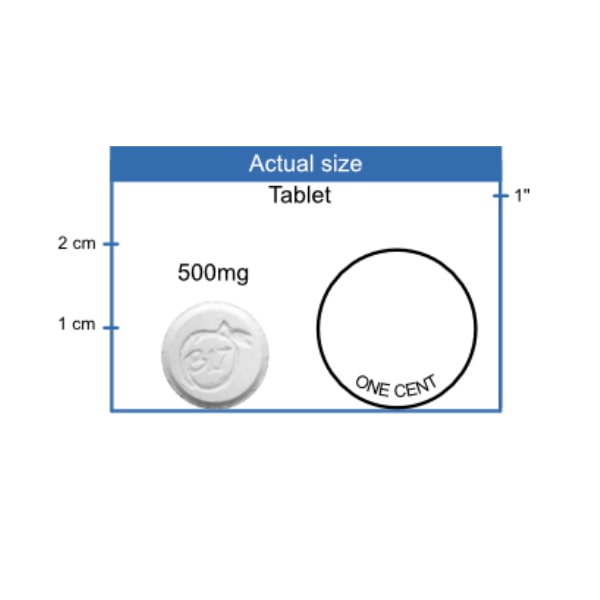 500mg Amygdalin Tablet size