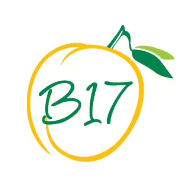 B17 Logo