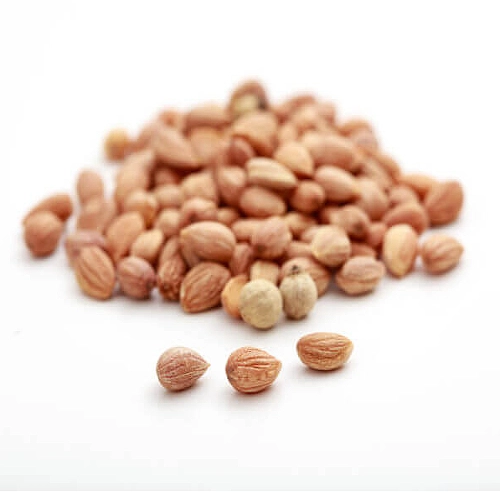 Cherry pit kernels
