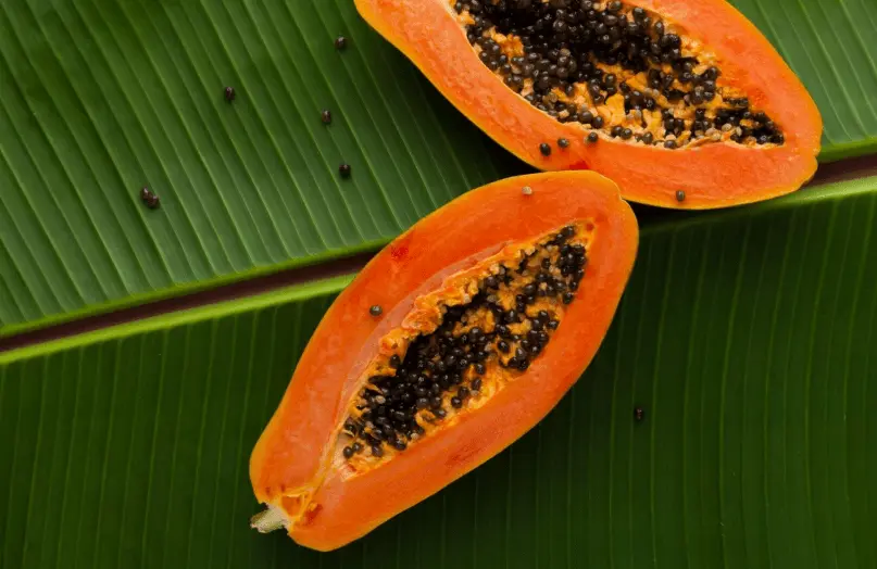 Papaya Enzymes