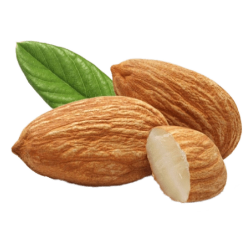 Bitter apricot kernel