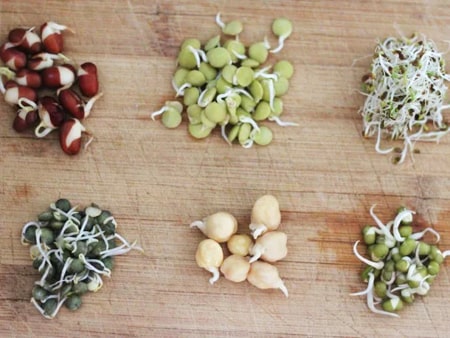 Sprouts Examples