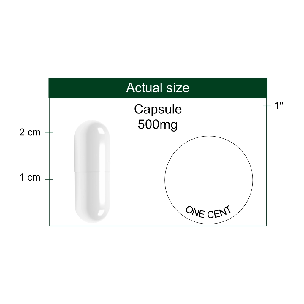 Vitamin B17 500mg capsule size reference