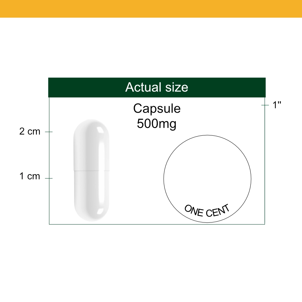 Vitamin B17 500mg capsule size reference