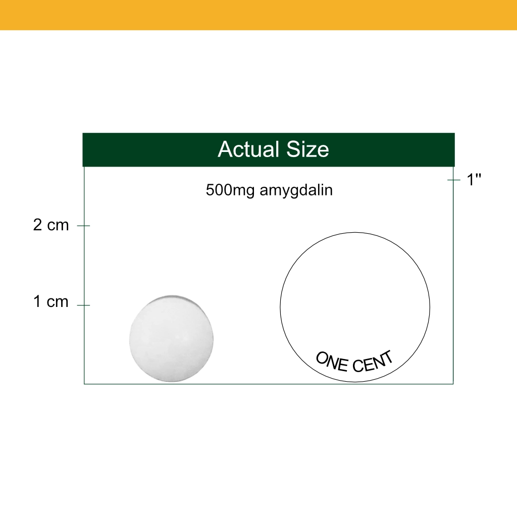 Vitamin B17 500mg tablet size reference